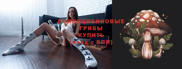 твердый Володарск