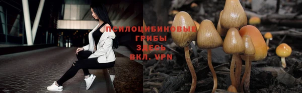 мяу мяу мука Вязьма