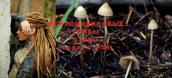 прущая мука Верхний Тагил