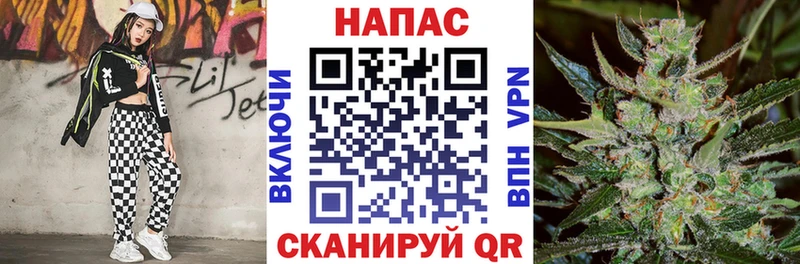 где найти наркотики  Красногорск  Бошки Шишки планчик 